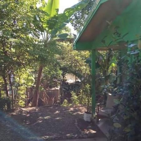 Casa Flor De Annia ~ Cozy 2 Bdrm On The River Sierpe ~ Walkable To Town Villa Exterior foto