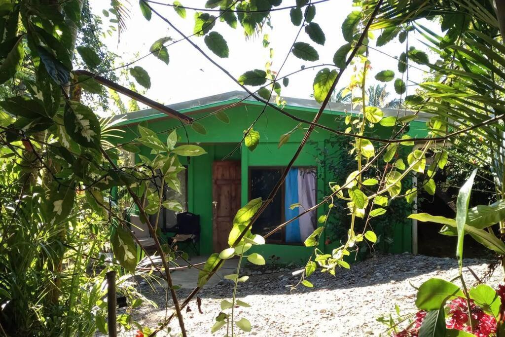 Casa Flor De Annia ~ Cozy 2 Bdrm On The River Sierpe ~ Walkable To Town Villa Exterior foto