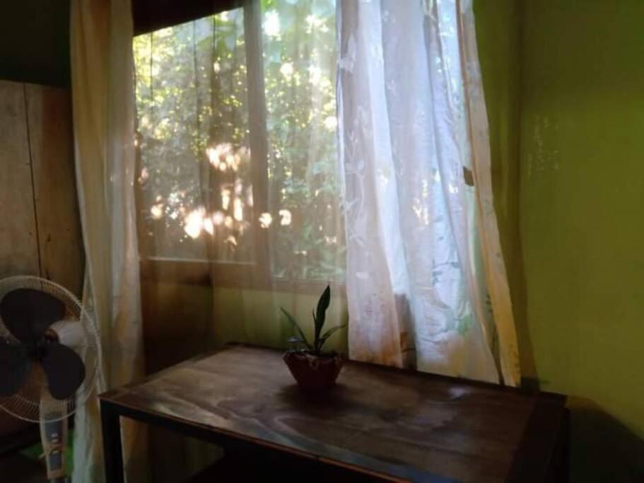 Casa Flor De Annia ~ Cozy 2 Bdrm On The River Sierpe ~ Walkable To Town Villa Exterior foto